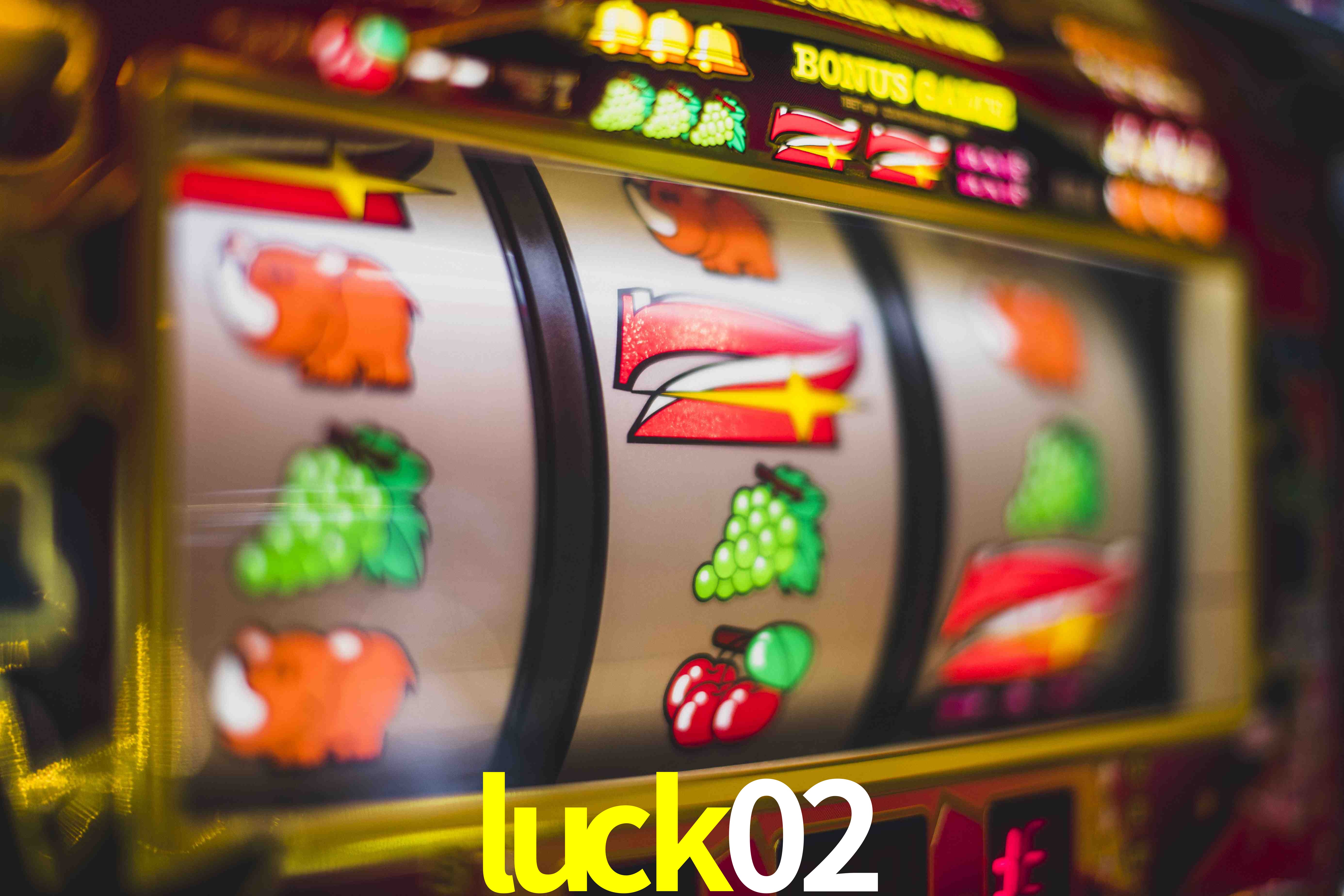 VIP Casino luck02